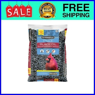 Pennington Select Black Oil Sunflower Seed Wild Bird Feed 40 lb. Bag $32.00