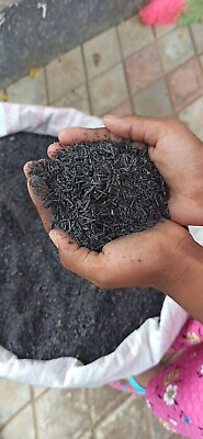 #ad Burned Rice Husk Ash 100 % Organic Compost Fertilizer seeds husk charcoal 300g $55.00