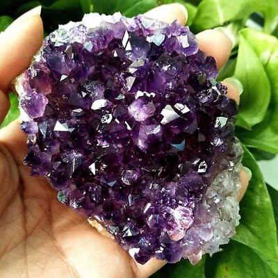 Natural Purple Amethyst Cluster Druzy Geode Quartz Crystal Stone Healing Reiki $15.89