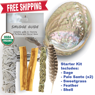 White Sage Smudge Kit–USDA Organic Sage Palo Santo Shell Feather amp; Guide $14.95