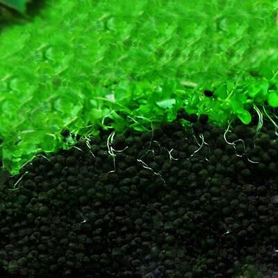 Aquarium Substrate Fish Tank Sand Fertilizer Grass Soil Waterweeds Plants Float $13.99