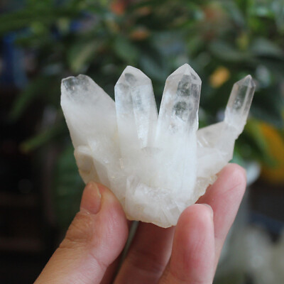 Natural White Crystal Quartz Cluster Specimen Reiki Healing Stone Home Decor $4.39
