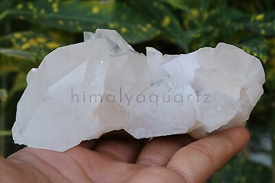 #ad #ad 365gm Newly discovered white Rock Raw Quartz Crystal Cluster mineral samples $53.17