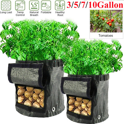 #ad Plant Grow Bags Waterproof PE Gardening Vegetable Planter 3 5 7 10 Gallon US $12.15
