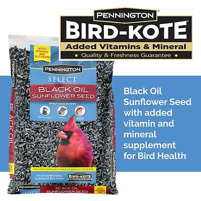 #ad Pennington Select Black Oil Sunflower Seed Wild Bird Feed 10 20 amp; 40 Lb Bag USA $19.99