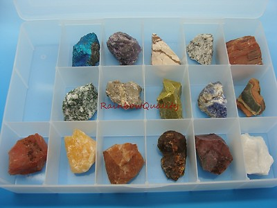 ROCK and MINERAL COLLECTION in Collector#x27;s Box Premium Specimens Geology $23.99