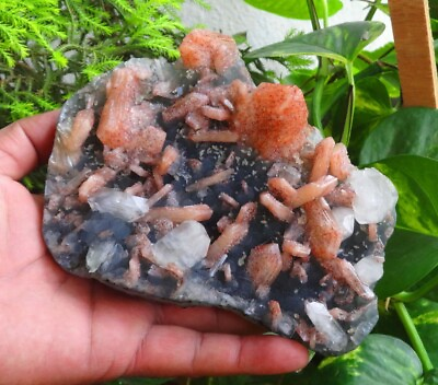 Stilbite On Apophyllite Chalcedony Crystals Rock Minerals Specimen N=3 $399.00