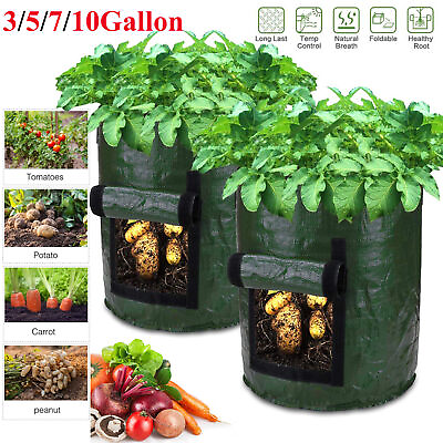#ad Potato Grow Bag Tomato Planting Bag PE Fabric Root Pots Vegetable Outdoor Garden $33.99