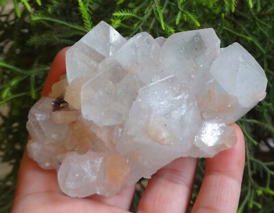 #ad #ad Apophyllite On Stilbite Crystals Rock Minerals Specimen A=2 $59.50