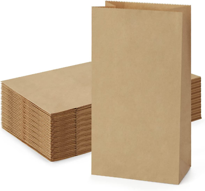 Paper Lunch Bags 4Lb 100 Pack Brown Paper Bags 5X2.95X9.45quot; Recyclable Kraft Sac $15.53