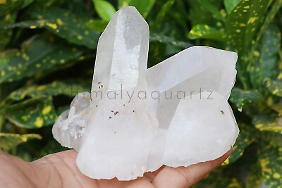 #ad #ad 792 gm Natural White Quartz Crystal Cluster Rock Stone Specimens Healing $103.40