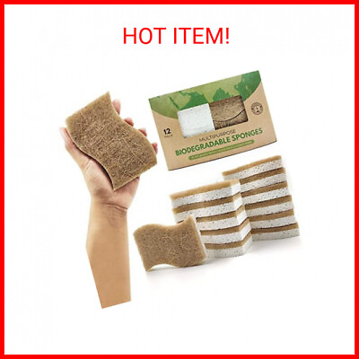 AIRNEX Biodegradable Natural Kitchen Sponge Compostable Cellulose and Coconut $28.99