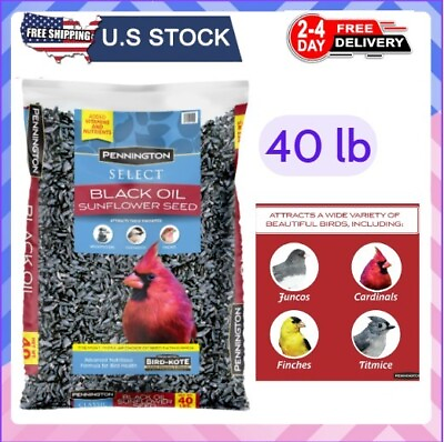 #ad #ad Select Black Oil Sunflower Seed Wild Bird Feed 40 lb. Bag $19.66