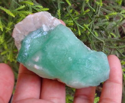 #ad Green Apophyllite Crystals Rock Minerals Specimen Z=6 $126.00