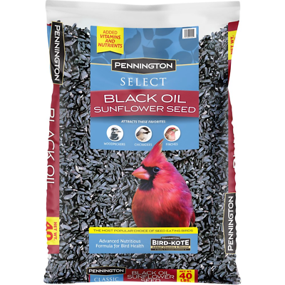 Pennington Select Black Oil Sunflower Seed Wild Bird Feed 40 Pounds $15.99