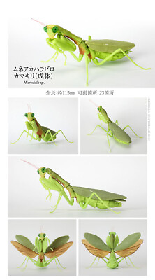 #ad Bandai The Diversity of Life on Earth Mantis Figure Vol 4 Giant Mantis Adult $18.00