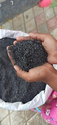#ad #ad Burned Rice Husk Ash 100 % Organic Compost Fertilizer seeds husk charcoal $70.00