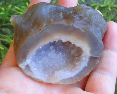 Chalcedony Geode Crystals Rock Minerals Specimen C=3 $75.00