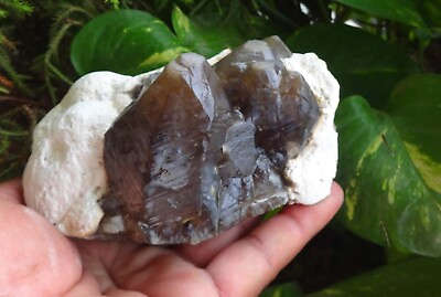 #ad #ad Black Calcite On Mordenite Crystals Rock Minerals Specimen N=6 $250.00
