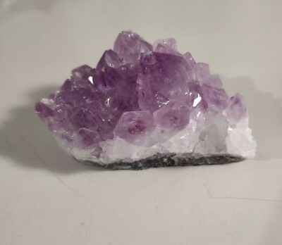 Collectible Crystal Amethyst Purple Gypsum Rock  Minerals Fossils $23.95
