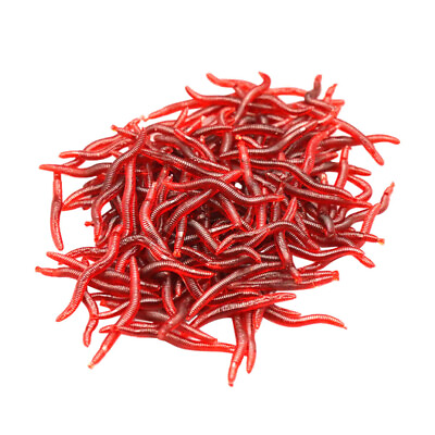#ad 150 Pcs of Live Super Worms Perfect for Garden amp; Fishing $7.69