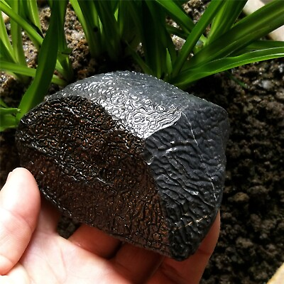#ad #ad 388g 90mm Rare Record Keeper Rock Natural Intact Texture Pattern Stone Specimen $136.41