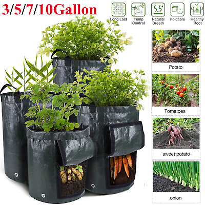 #ad 1 10x 10 Gallon Planting Growing Bags Potato Tomato Garden Plant Pots Container $46.39