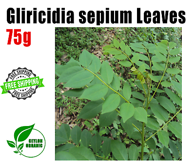 Dried Gliricidia Sepium Leaves Organic Fertilizer Compost Natural Nitrogen 75g $10.55