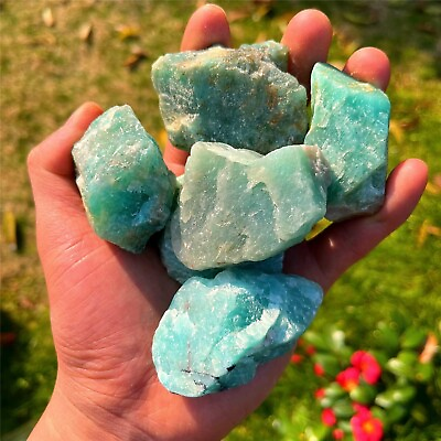 #ad Raw Amazonite Stone Rough Chunks Mineral Rock Crystal Specimens Home Ornament $7.65