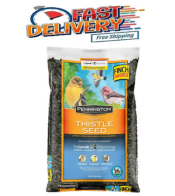 #ad Pennington Select Thistle Seed Dry Wild Bird Feed and Seed 10 lb. Bag 1 Pack $17.48