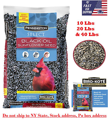 #ad Pennington Select Black Oil Sunflower Seed Wild Bird Feed 10 20 amp; 40 Lb Bag USA $17.97