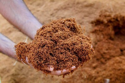 #ad COCONUT COIR Coco Peat ORGANIC GROWING MEDIA POTTING COMPOST SOIL 500g 1kg $95.00