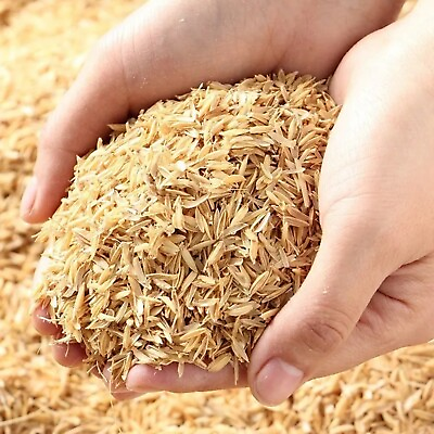 #ad RICE HULLS RICE HUSKS 100% NATURAL ORGANIC COMPOST HYDROPONIC PLANT GROWING $30.99