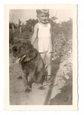 #ad 11216 Foto Kleiner Junge mit Hund im Garten EUR 3.00