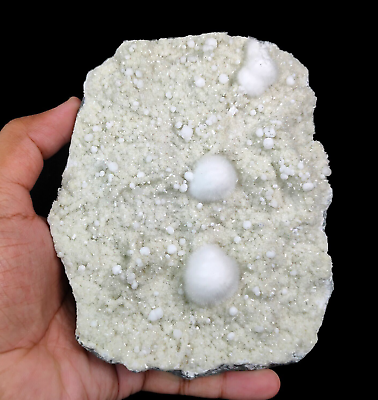 #ad #ad Natural Okenite Balls and Gyrolites on Base Matrix Rock Minerals Specimen #629 $171.00