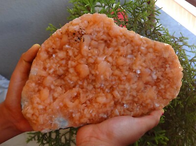 #ad Stilbite Flower Crystals Rock Minerals Specimen G=46 $450.00
