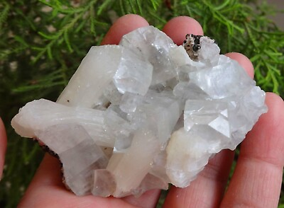 #ad Stilbite On Apophyllite Crystals Rock Minerals Specimen E=1 $10.79