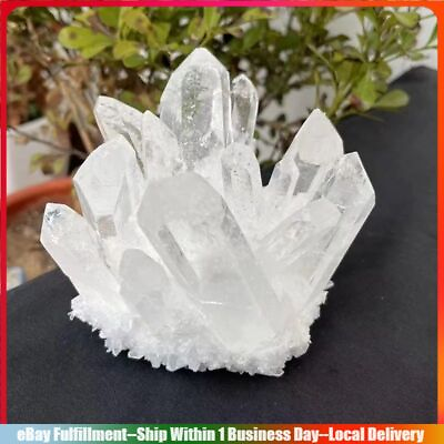 #ad #ad Natural Clear Quartz Crystal Cluster Energy Mineral Rock Stone Specimens Healing $9.21