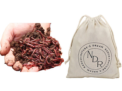 #ad Nature#x27;s Dream Ranch 250 ct live Red Wiggler Composting Worms Vermicomposting $29.99
