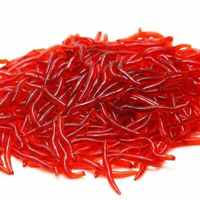 50 100pcs Lifelike Fishy Smell Red Worms Soft Bait Simulation Earthworm Lures $8.20
