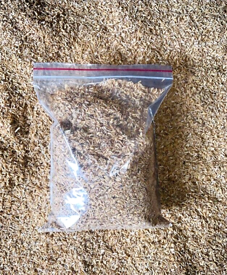 RICE Hulls Husks 100% Organic Natural Compost Hydroponic Growing Media 1kg New $49.99