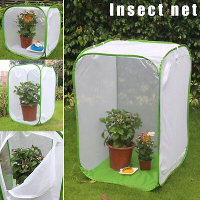 #ad #ad Mantis Stick Small Insect Butterfly Plant Cage Foldable Pop up Enclosure Housing $34.95
