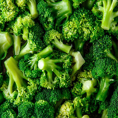 Organic Broccoli Seeds Heirloom Non GMO Fresh Garden Seeds $200.00
