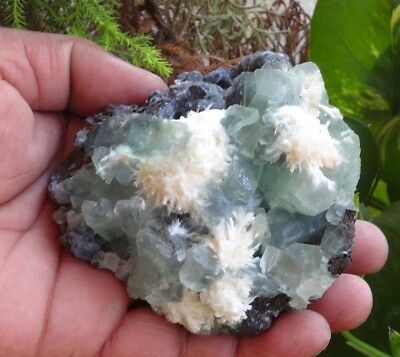 #ad #ad Green Apophyllite On Mordenite Crystals Rock Minerals Specimen D=8 $161.50