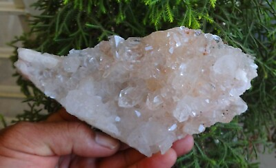 #ad Himalayan Quartz Calcite Crystals Rock Minerals Specimen C=7 $261.00