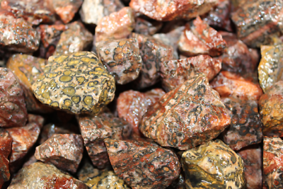 #ad Leopard Skin Jasper Rough Rocks for Tumbling Bulk Wholesale 1LB options $12.40