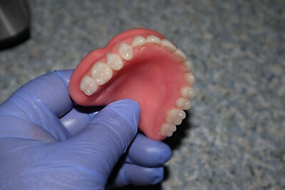 Denture Pre Designed Dentures upper dentures . Medium size Full upper $75.00