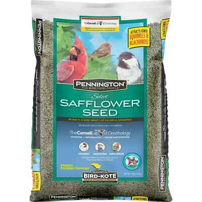 #ad Pennington Select Safflower Seed Wild Bird Feed and Seed 7 lb. Bag 1 Pack Dr $13.50