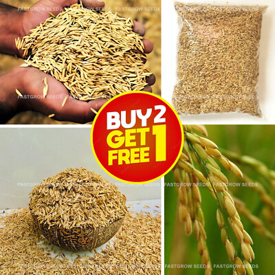 #ad Rice Husks Hulls 100% Organic Compost Hydroponic Growing for Use Plants grow 5KG $199.99