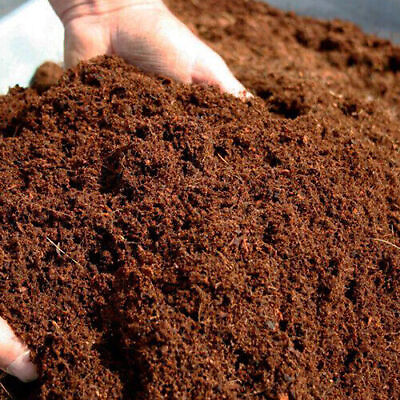 COCO Coir Coconut Peat ORGANIC COCO COIR 100% natural compost hydroponic growing $6.00
